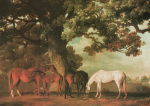 George Stubbs art print
