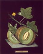 George Brookshaw art print