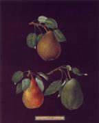 George Brookshaw art print