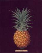 George Brookshaw art print