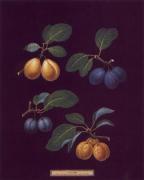 George Brookshaw art print