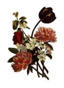 Jean Louis Pr�vost art print