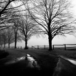 After the Rain giclee art print