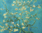 Almond Blossom, 1890 giclee art print