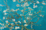 Almond Blossom, San Remy 1890 art print