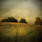Another Place 2 giclee art print