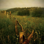 Another Place 4 giclee art print