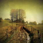 Another Place giclee art print