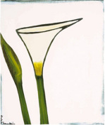 Arum, 2003 art print