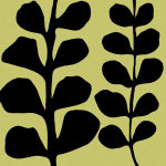 Black Fern on Green giclee art print