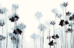 Black Stems art print
