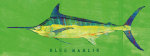 Blue Marlin giclee art print