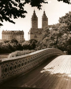 Central Park Bridges 1 giclee art print