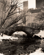 Central Park Bridges 4 giclee art print