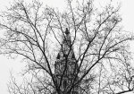 City Hall (branches) giclee art print