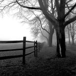 Corner Fence giclee art print