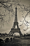 Curves of Eiffel giclee art print