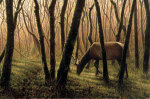 Day's End giclee art print