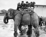 Elephant ride, Belle Vue Manchester 1957 giclee art print