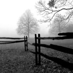 Fence in the Mist giclee art print