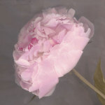 Fleur giclee art print