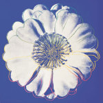 Flower for Tacoma Dome, c. 1982 (blue & white) giclee art print