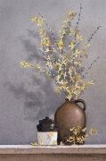Forsythia giclee art print