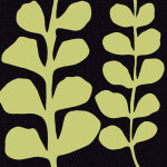 Green Fern on Black giclee art print