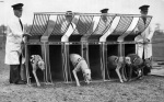 Greyhound racing, Birmingham 1950 giclee art print