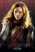 Harry Potter and the Deathly Hallows - Hermione art print