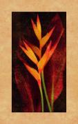 John Seba art print