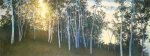 Hillside Birches giclee art print