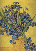 Irises in Vase giclee art print