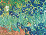 Irises in the Garden giclee art print