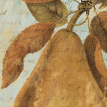 Joli Fruit II giclee art print