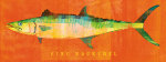 King Mackerel giclee art print