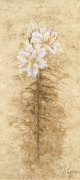 Lily Fair giclee art print