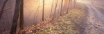 Mill River Viaduct giclee art print