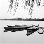 Mirrored Water giclee art print