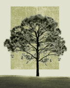 Nature's Shapes I giclee art print