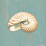 Nautilus giclee art print