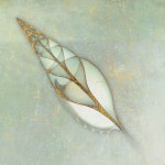 Neptune's Garden II giclee art print