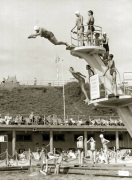 Old lady diving, Brighton 1960 giclee art print