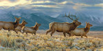 On the Run giclee art print