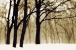 Past Dreams giclee art print