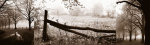Peaceful Moments giclee art print