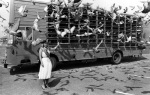 Pigeon race, Whitley Bay 1980 giclee art print
