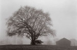 Pleasant Hill giclee art print