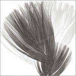 Plumes 2 art print