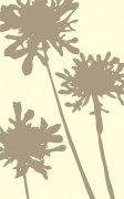 Pompom Brule (reverse) giclee art print